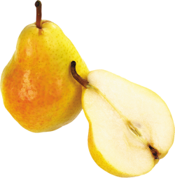 Tree image